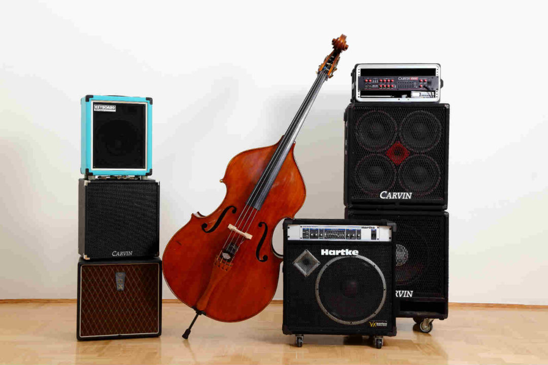 DUBBASS PICKUP SYSTEM THE BEST DOUBLE BASS PICKUP SYSTEM